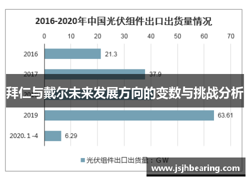 拜仁与戴尔未来发展方向的变数与挑战分析
