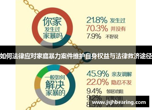 如何法律应对家庭暴力案件维护自身权益与法律救济途径