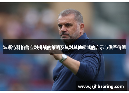 波斯特科格鲁应对挑战的策略及其对其他领域的启示与借鉴价值